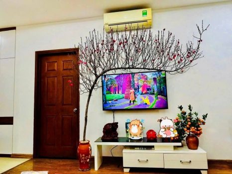 576969356_122110389129035684_2772623132205599344_n