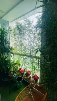 z6974988065852_2c387ad5cbfb6c01116d914da30b3138