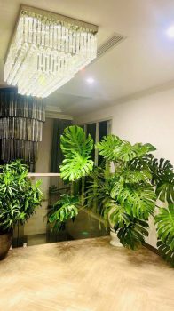 z6974988070885_64978daaf969bdb238ed25899d2bbf34 - Sao chép