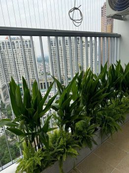 z7214032183204_2d0a1b0ab0bca4e4ef11f7bc9ceea56b